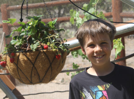 boy standing next to hanging plant